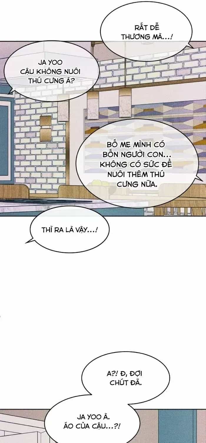 Cặp Đôi Hướng Nội - Chương 85 - ảnh 63