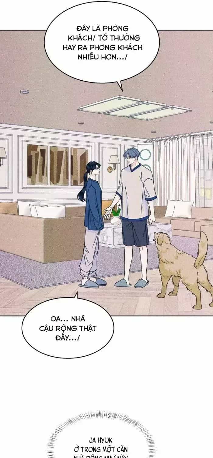 Cặp Đôi Hướng Nội - Chương 86 - ảnh 15