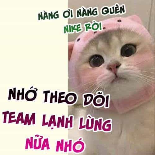 Caramal Kỳ Quái - Chương 22 - ảnh 16