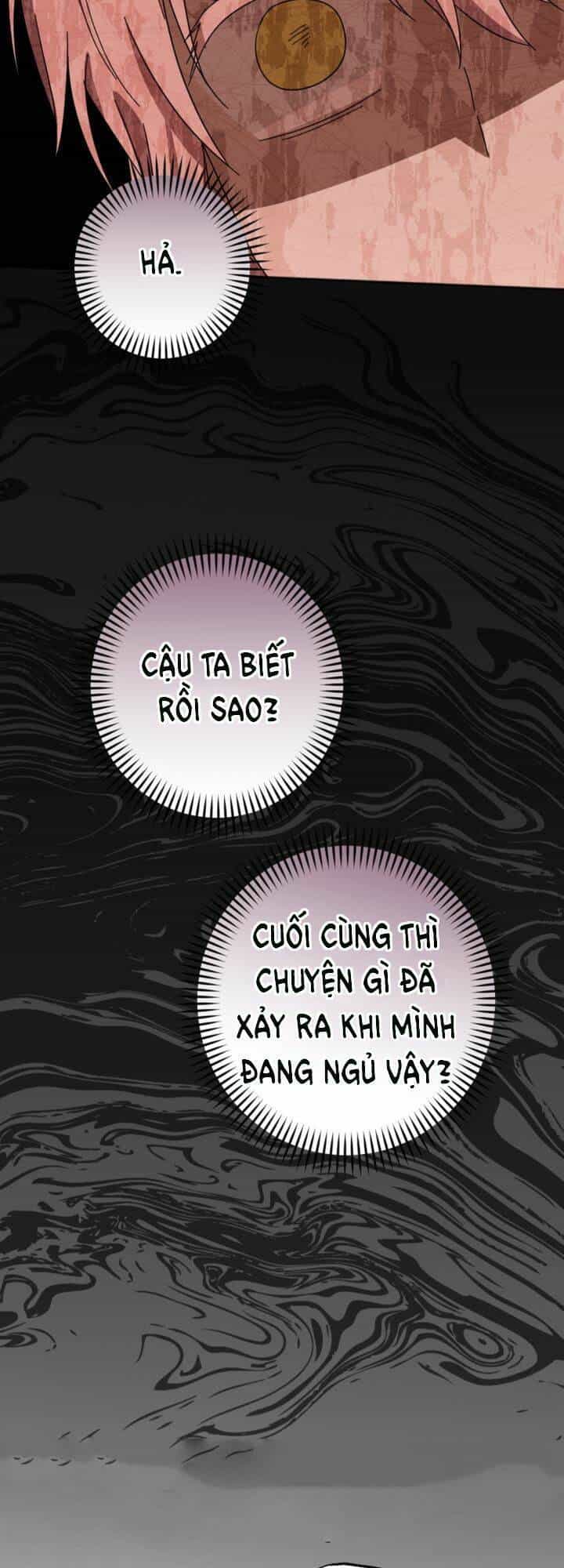 Cậu Ấy Thức Tỉnh Khi Tôi Đã Chết - Chương 21 - ảnh 44