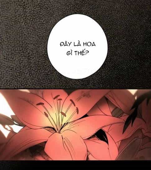 Câu Chuyện Cổ Tích Của Mẹ Kế - Chương 57 - ảnh 14