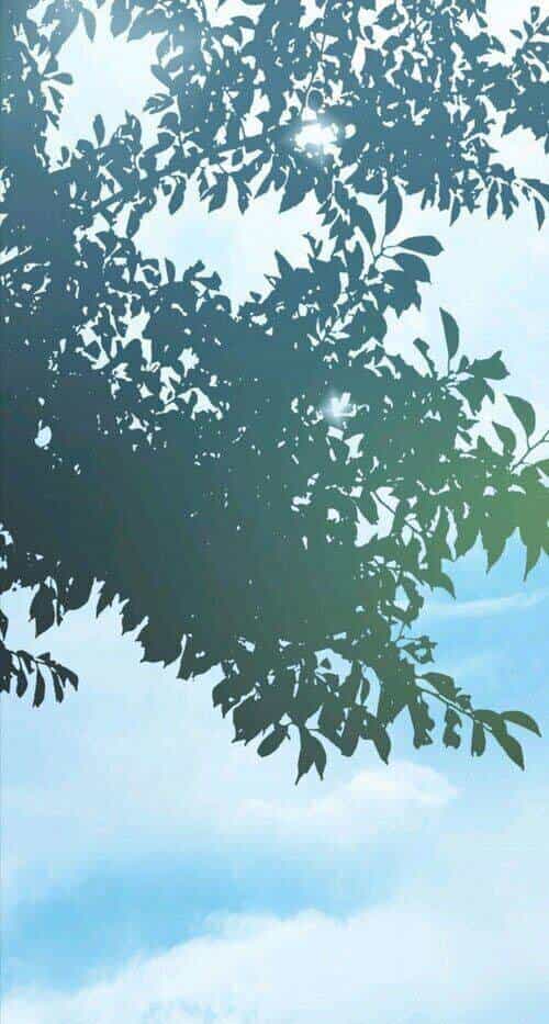Câu Chuyện Cổ Tích Của Mẹ Kế - Chương 65 - ảnh 2