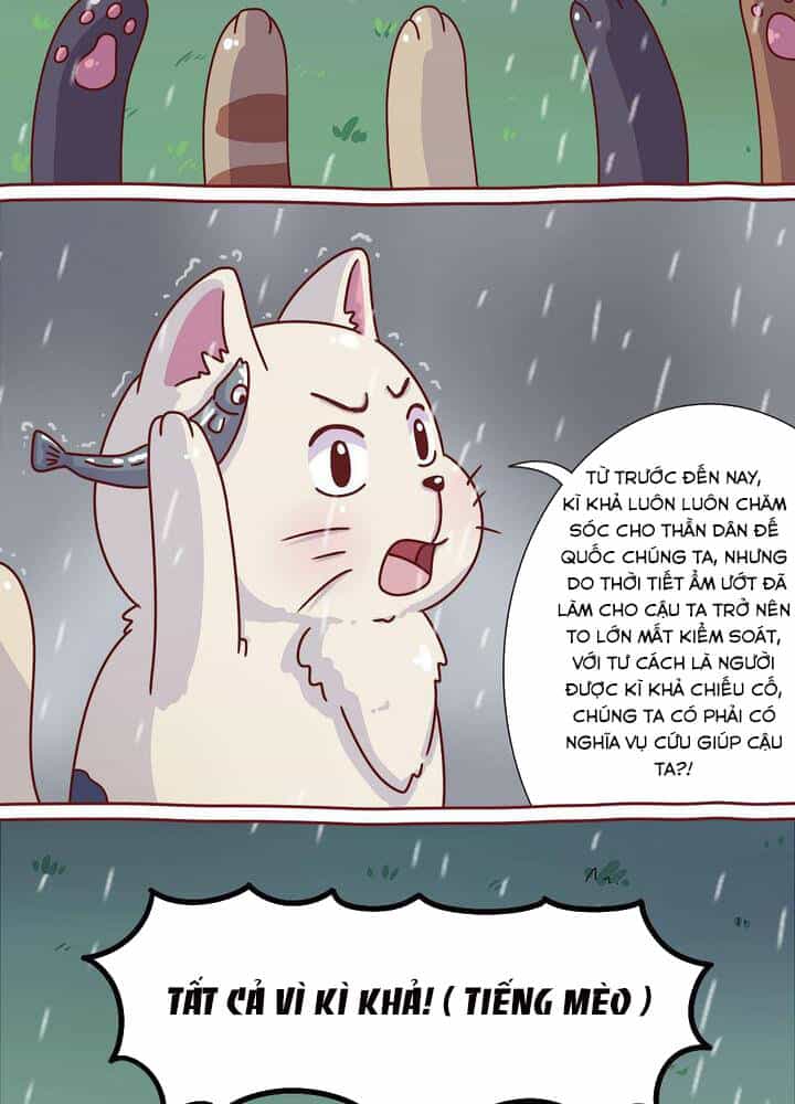 Cây Nấm Kì Khả - Chương 18 - ảnh 8