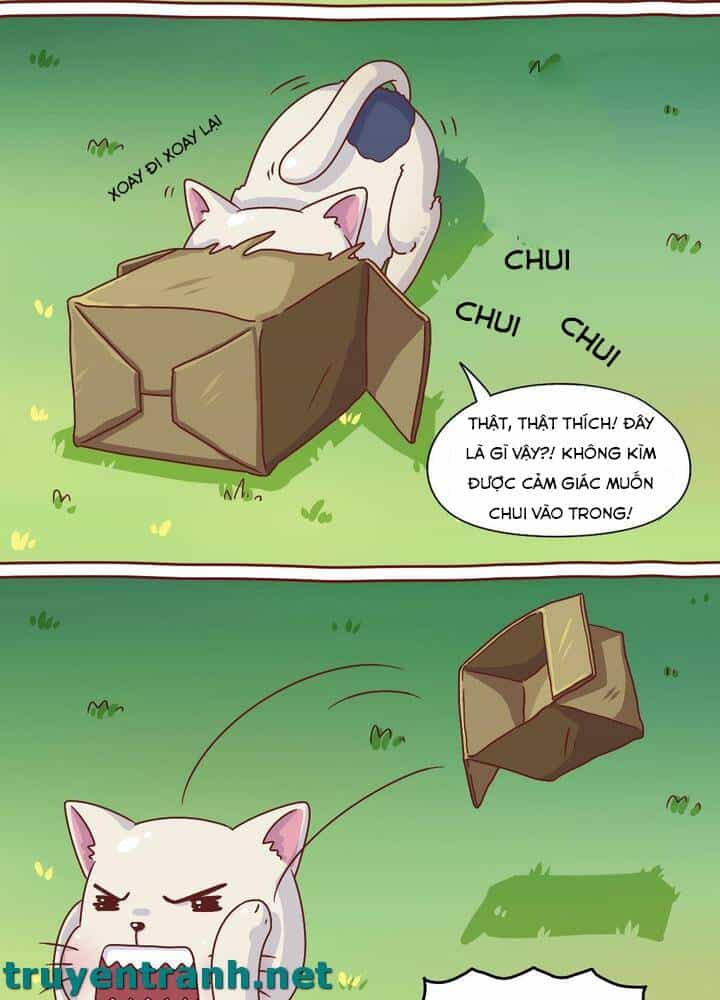 Cây Nấm Kì Khả - Chương 7 - ảnh 12