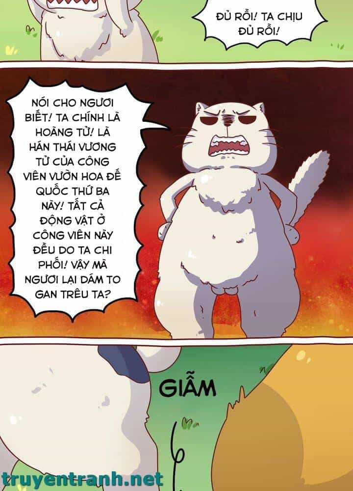 Cây Nấm Kì Khả - Chương 7 - ảnh 13