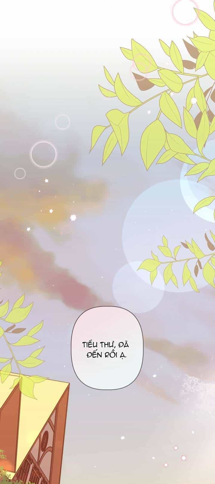 Cha Của Nam Chính Từ Chối Hủy Hôn - Chương 5 - ảnh 7