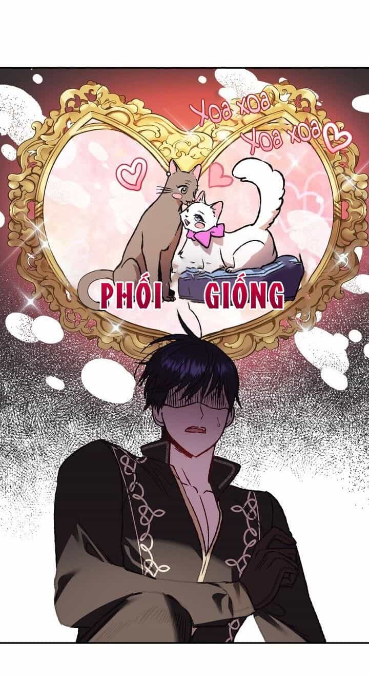 Cha Ơi Con Không Muốn Kết Hôn Đâu - Chương 13 - ảnh 48