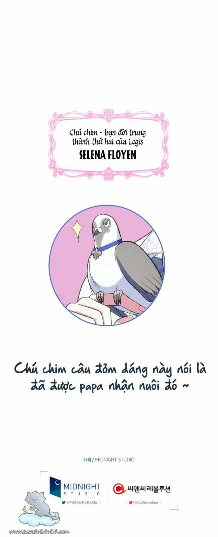 Cha Ơi Con Không Muốn Kết Hôn Đâu - Chương 62 - ảnh 87