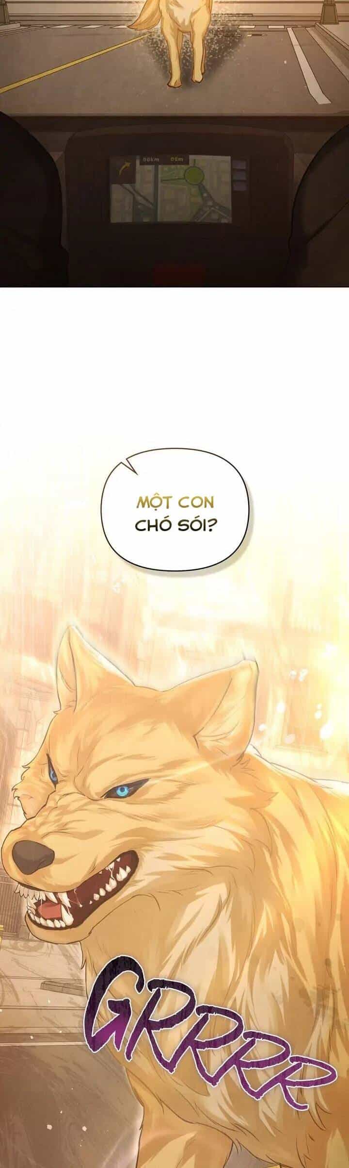 Chàng Người Sói Phát Điên Vì Tôi - Chương 18 - ảnh 18