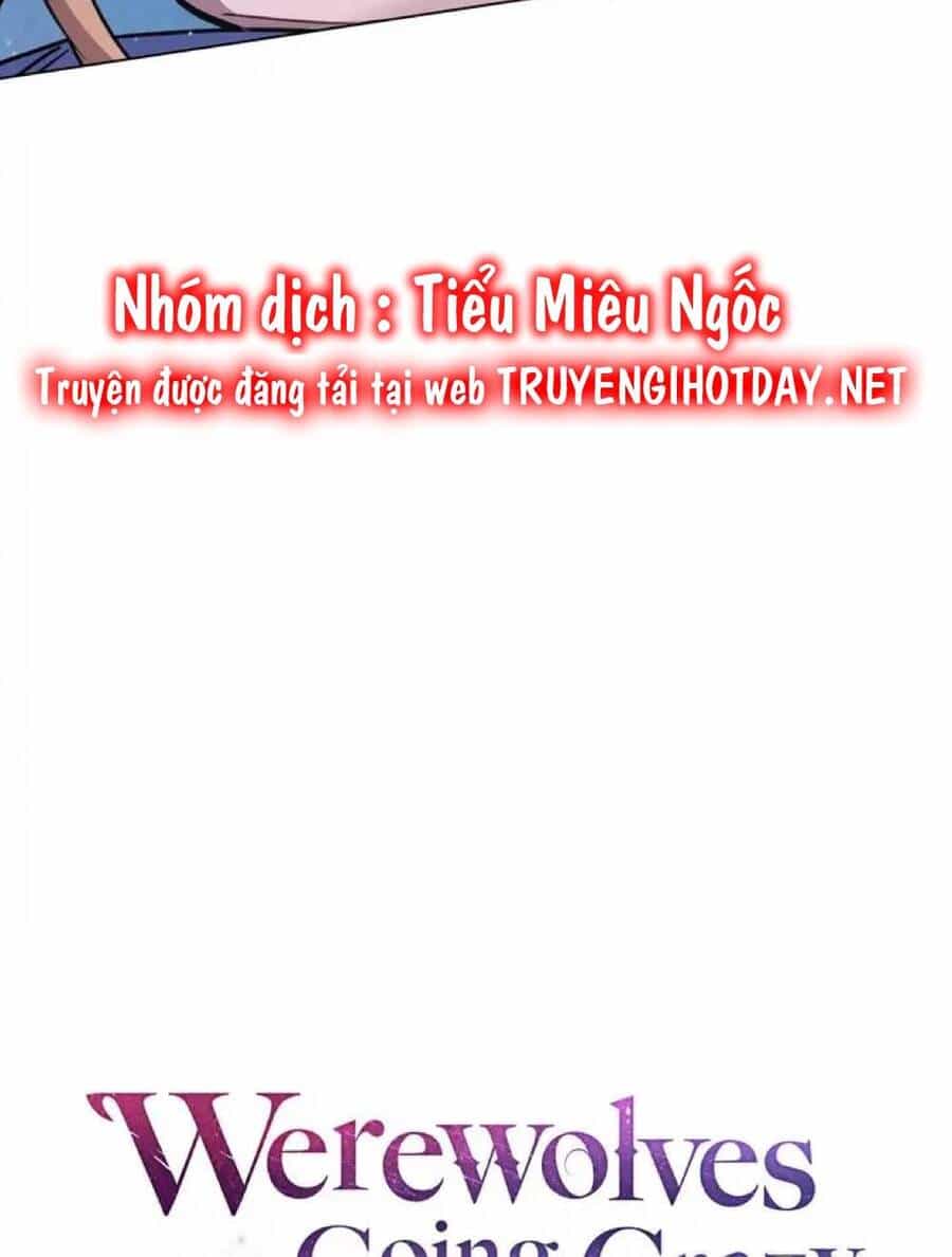 Chàng Người Sói Phát Điên Vì Tôi - Chương 2 - ảnh 20