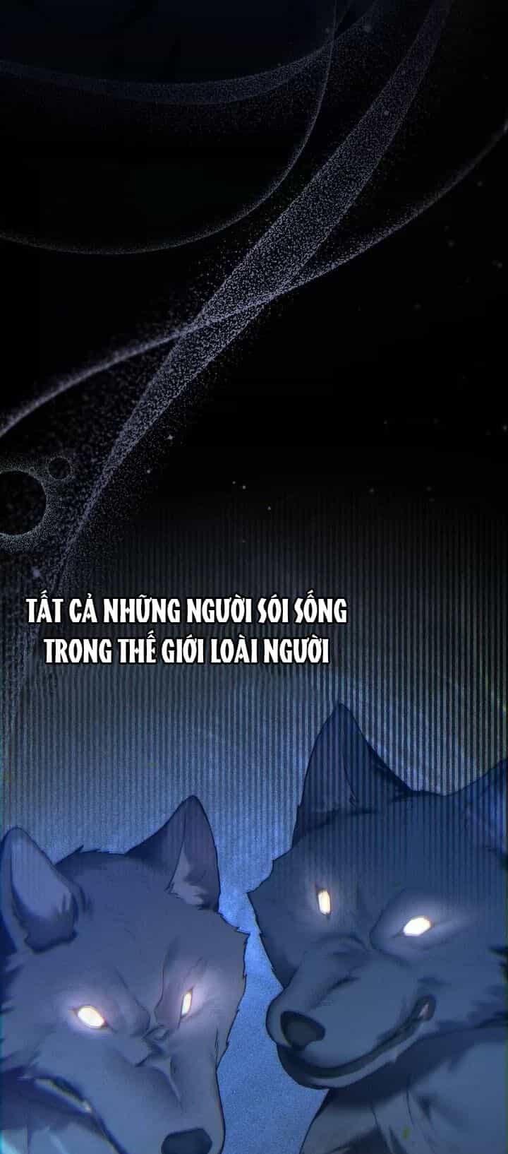 Chàng Người Sói Phát Điên Vì Tôi - Chương 30 - ảnh 39