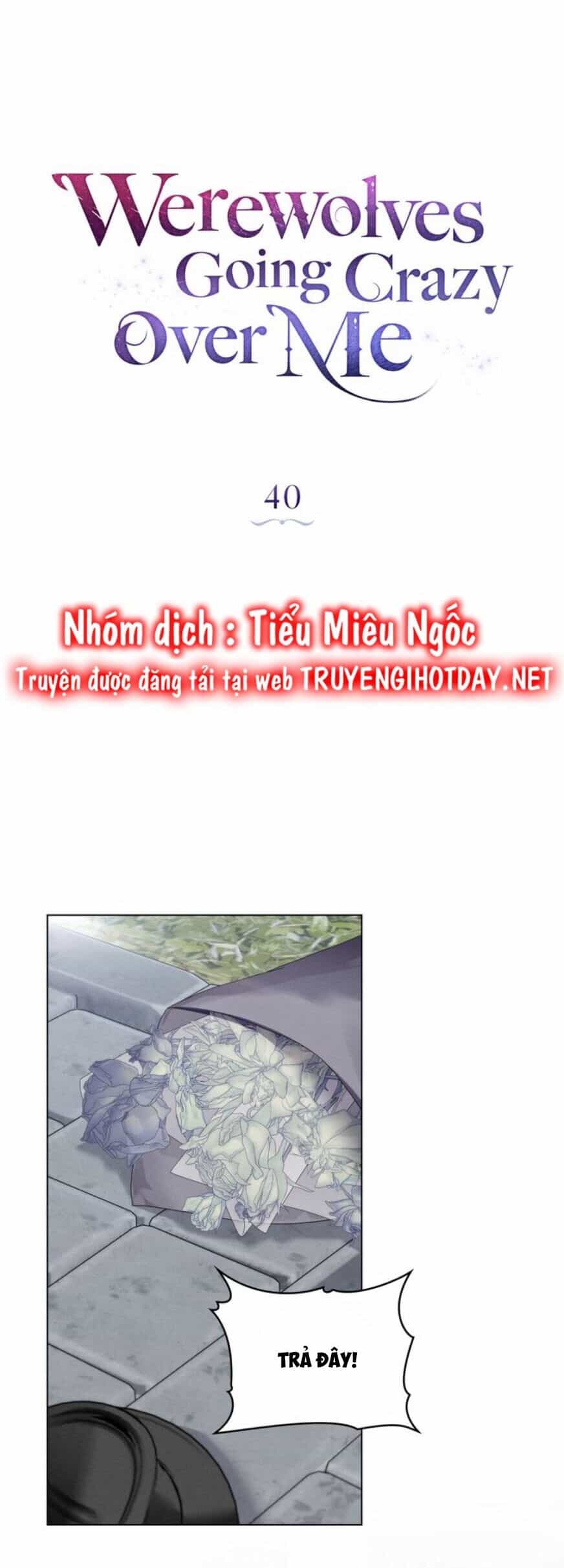 Chàng Người Sói Phát Điên Vì Tôi - Chương 40 - ảnh 11