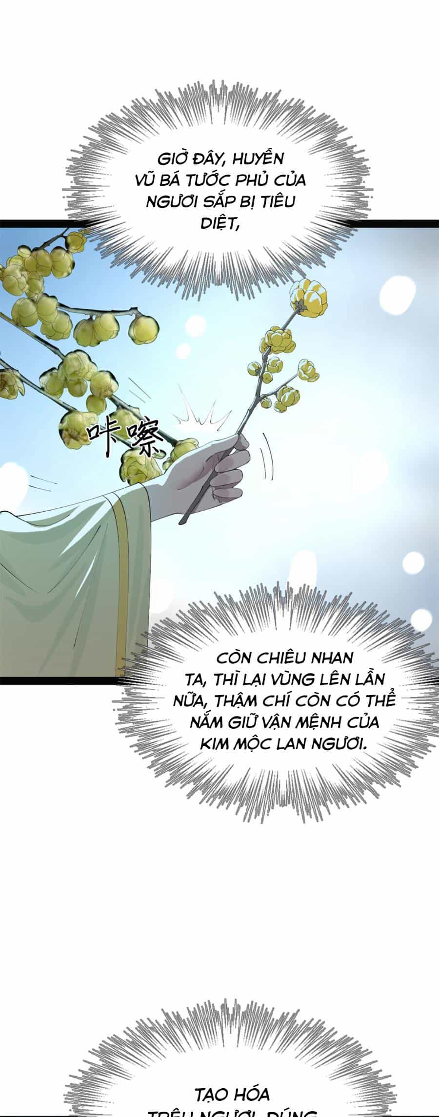 Chàng Rể Mạnh Nhất Lịch Sử - Chương 151 - ảnh 22