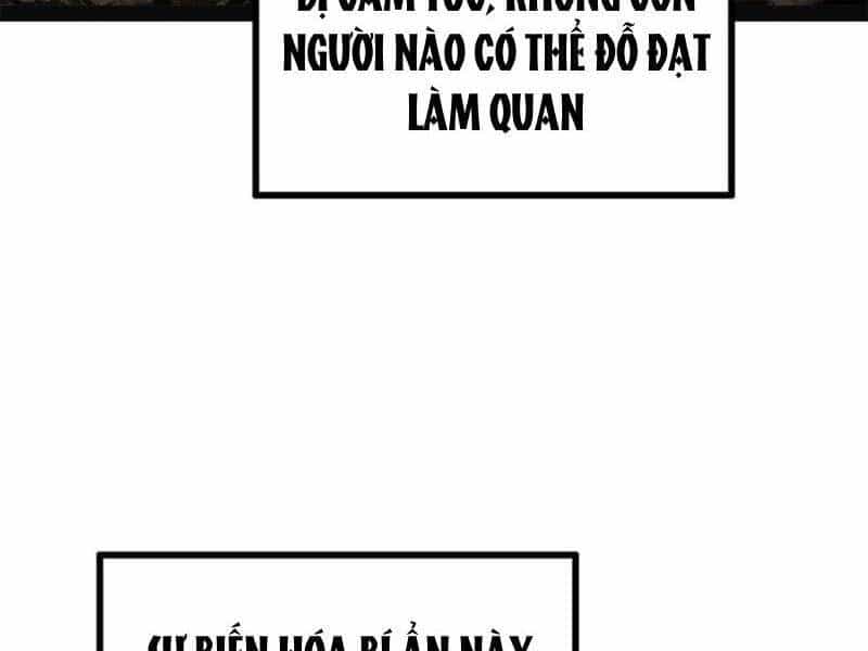 Chàng Rể Mạnh Nhất Lịch Sử - Chương 152 - ảnh 33