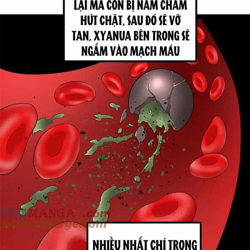 Chàng Rể Mạnh Nhất Lịch Sử - Chương 164 - ảnh 56