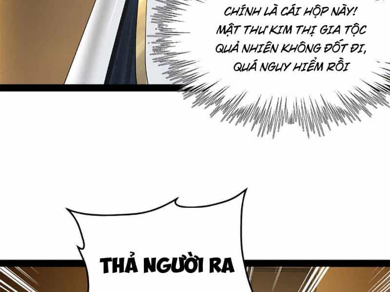 Chàng Rể Mạnh Nhất Lịch Sử - Chương 170 - ảnh 60