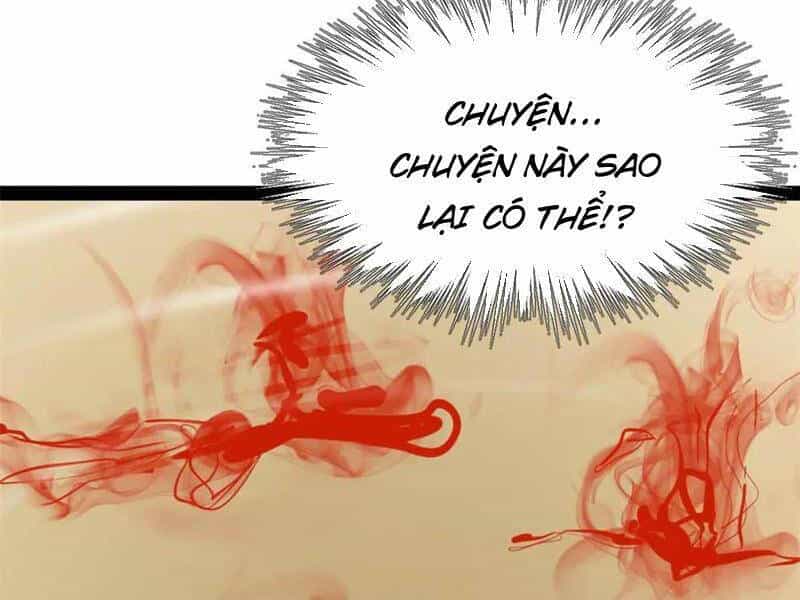 Chàng Rể Mạnh Nhất Lịch Sử - Chương 194 - ảnh 81