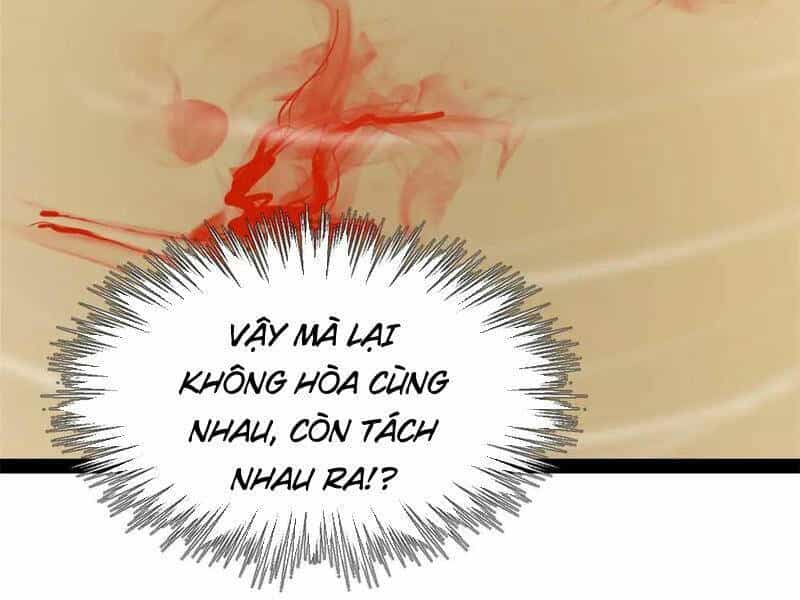 Chàng Rể Mạnh Nhất Lịch Sử - Chương 194 - ảnh 82