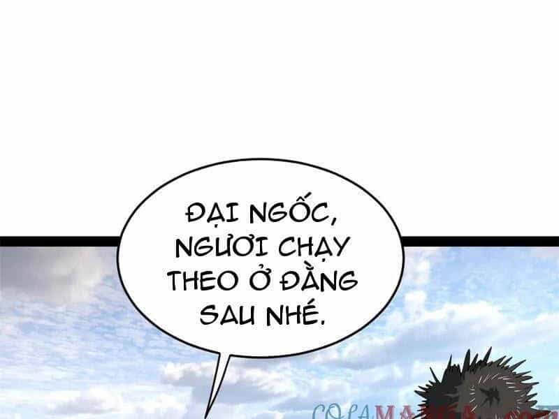 Chàng Rể Mạnh Nhất Lịch Sử - Chương 203 - ảnh 96