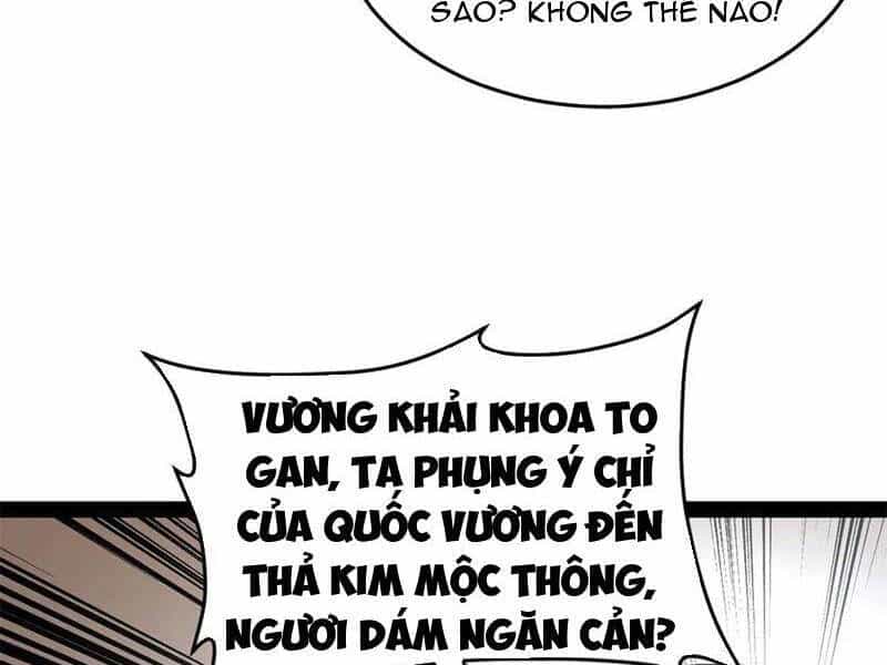 Chàng Rể Mạnh Nhất Lịch Sử - Chương 204 - ảnh 11