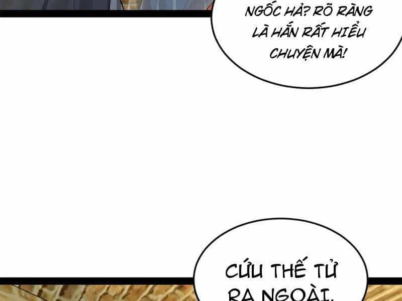 Chàng Rể Mạnh Nhất Lịch Sử - Chương 204 - ảnh 46