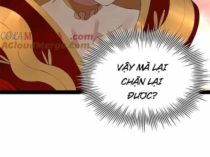 Chàng Rể Mạnh Nhất Lịch Sử - Chương 206 - ảnh 16