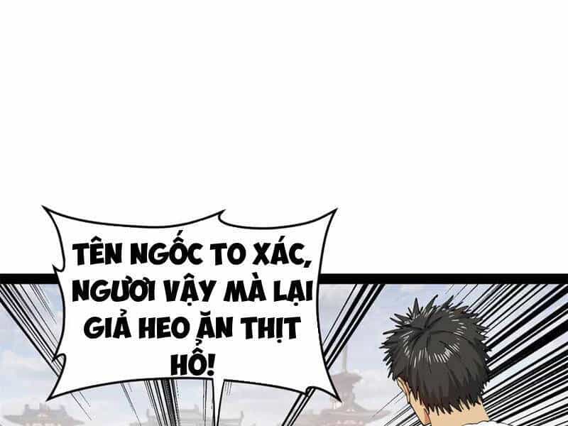 Chàng Rể Mạnh Nhất Lịch Sử - Chương 206 - ảnh 32