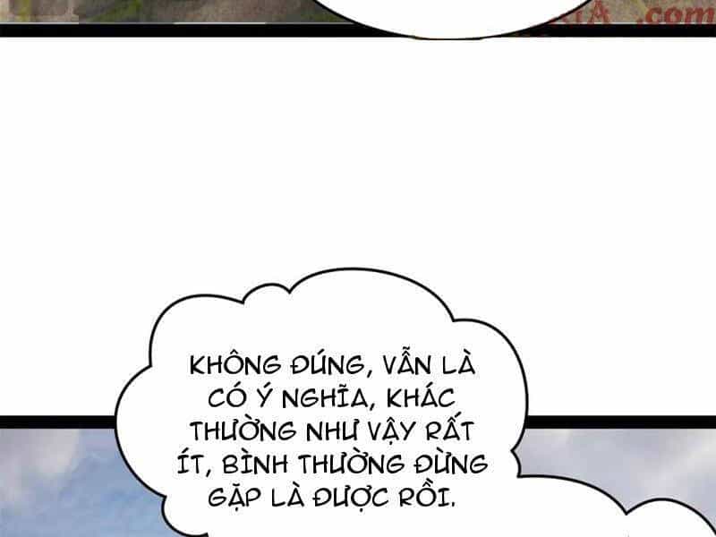 Chàng Rể Mạnh Nhất Lịch Sử - Chương 206 - ảnh 53