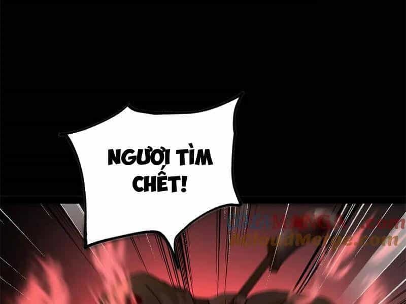 Chàng Rể Mạnh Nhất Lịch Sử - Chương 207 - ảnh 116