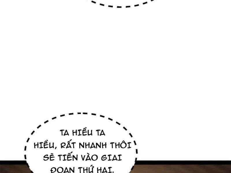 Chàng Rể Mạnh Nhất Lịch Sử - Chương 207 - ảnh 5