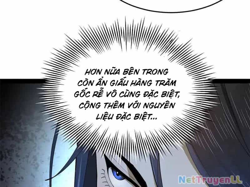Chàng Rể Mạnh Nhất Lịch Sử - Chương 210 - ảnh 105