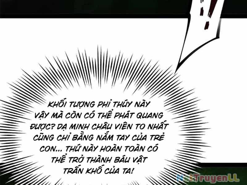 Chàng Rể Mạnh Nhất Lịch Sử - Chương 210 - ảnh 88