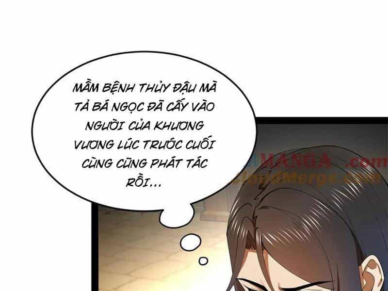 Chàng Rể Mạnh Nhất Lịch Sử - Chương 215 - ảnh 52