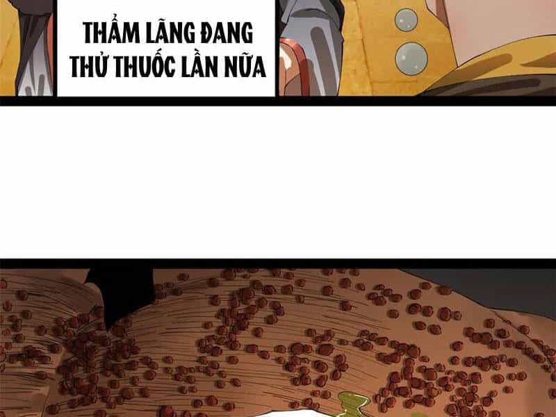 Chàng Rể Mạnh Nhất Lịch Sử - Chương 216 - ảnh 18