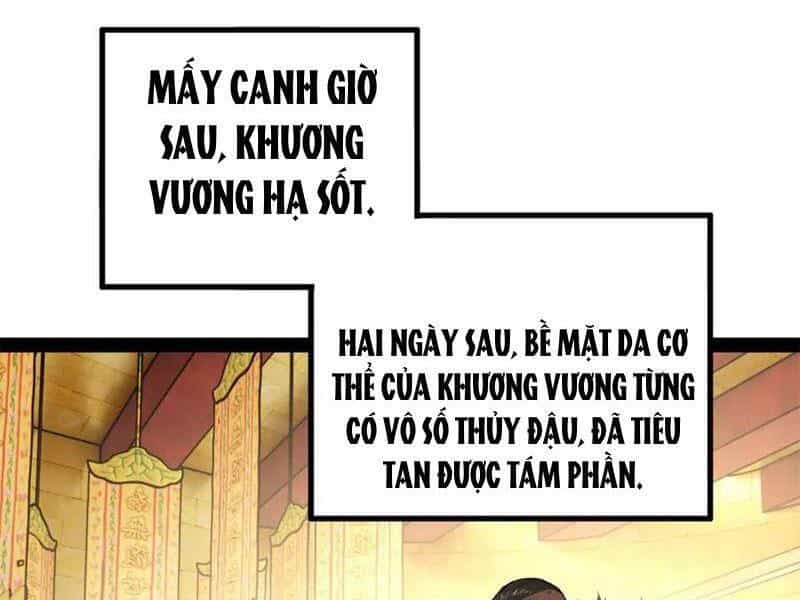 Chàng Rể Mạnh Nhất Lịch Sử - Chương 217 - ảnh 1