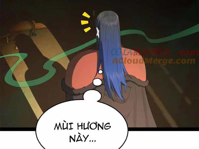 Chàng Rể Mạnh Nhất Lịch Sử - Chương 217 - ảnh 19