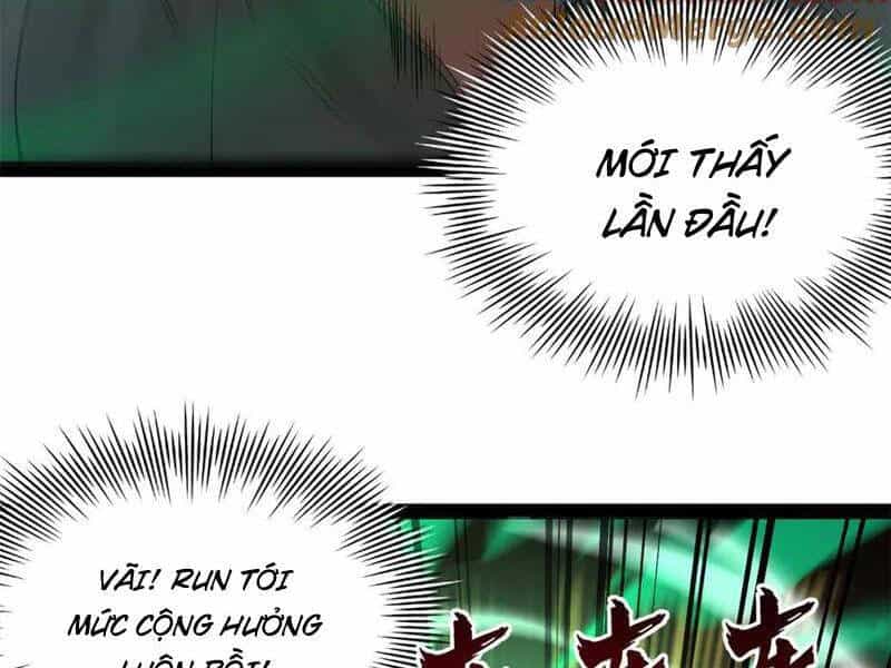Chàng Rể Mạnh Nhất Lịch Sử - Chương 217 - ảnh 35