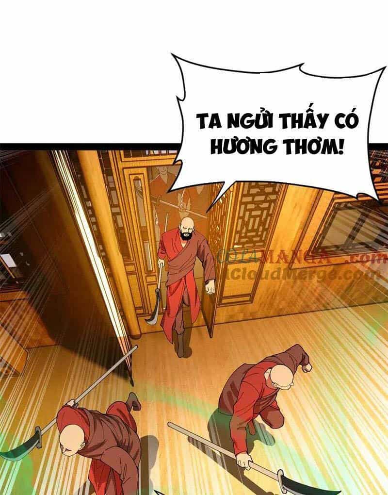 Chàng Rể Mạnh Nhất Lịch Sử - Chương 218 - ảnh 77