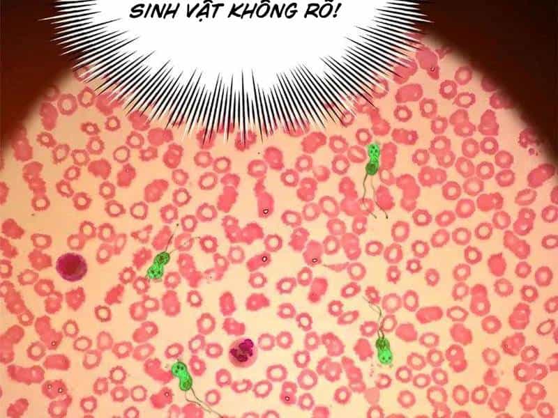 Chàng Rể Mạnh Nhất Lịch Sử - Chương 221 - ảnh 137