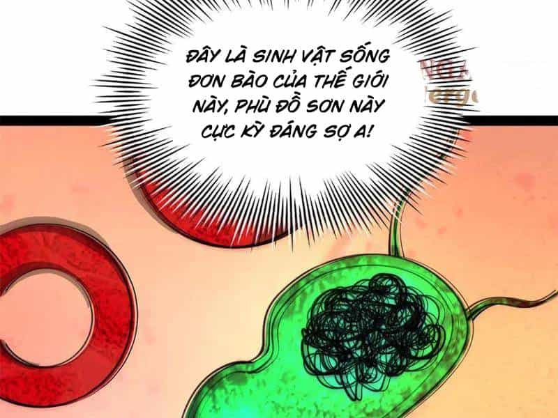 Chàng Rể Mạnh Nhất Lịch Sử - Chương 221 - ảnh 140
