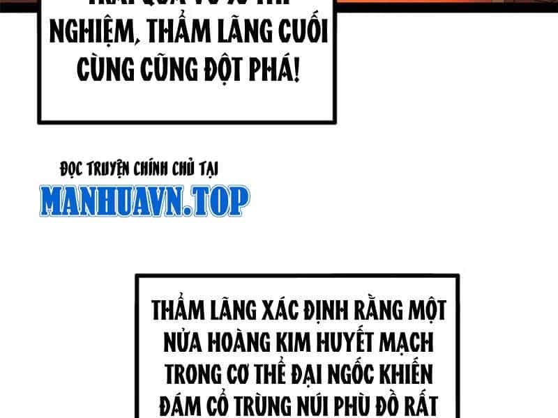 Chàng Rể Mạnh Nhất Lịch Sử - Chương 221 - ảnh 174