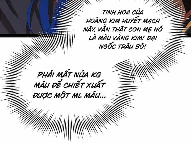 Chàng Rể Mạnh Nhất Lịch Sử - Chương 221 - ảnh 179