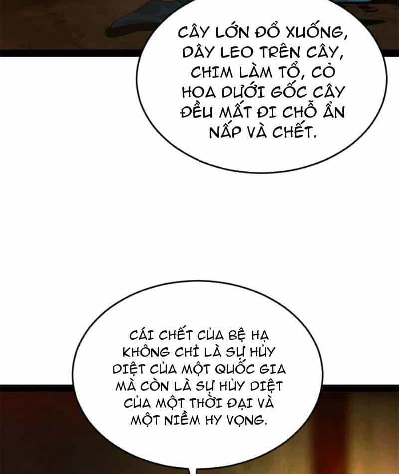 Chàng Rể Mạnh Nhất Lịch Sử - Chương 221 - ảnh 46