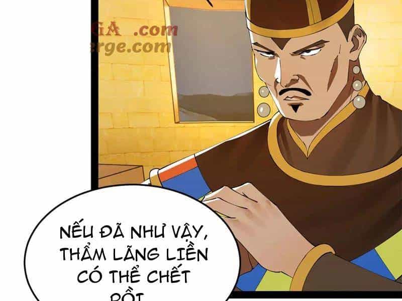 Chàng Rể Mạnh Nhất Lịch Sử - Chương 222 - ảnh 11