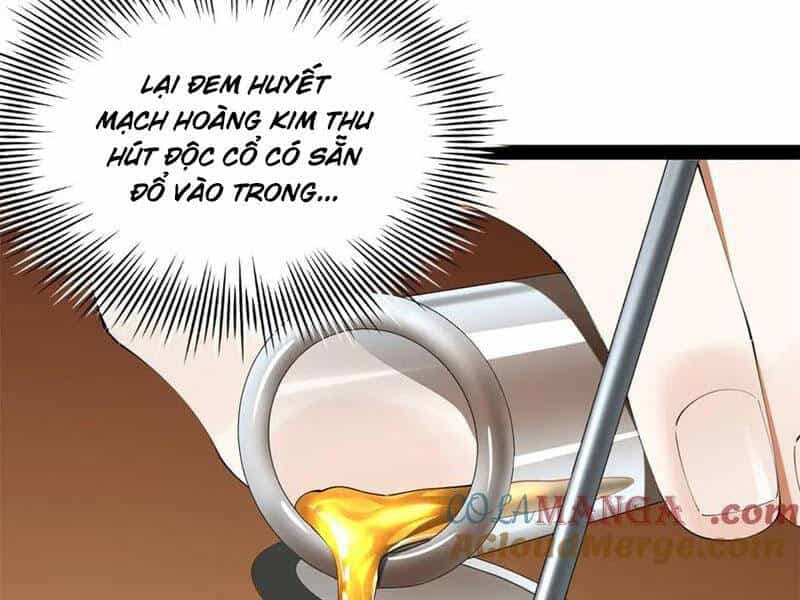 Chàng Rể Mạnh Nhất Lịch Sử - Chương 223 - ảnh 39