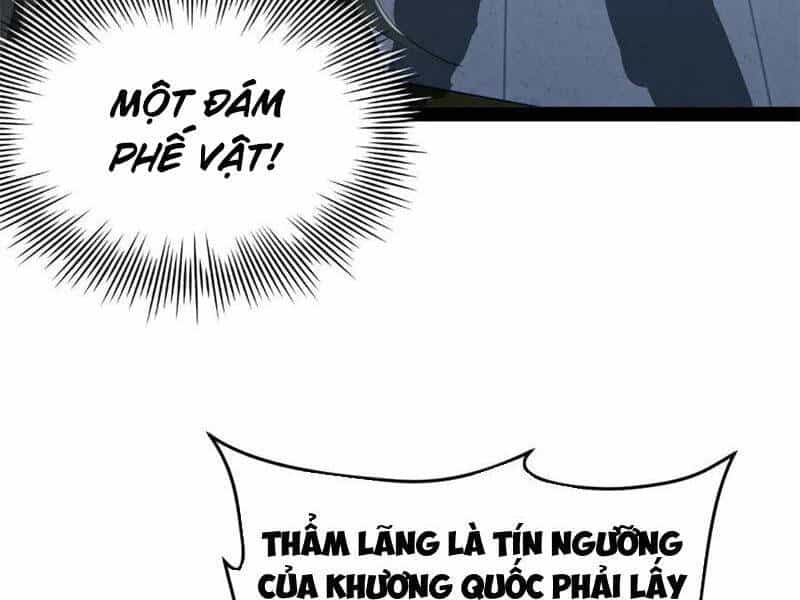 Chàng Rể Mạnh Nhất Lịch Sử - Chương 224 - ảnh 12