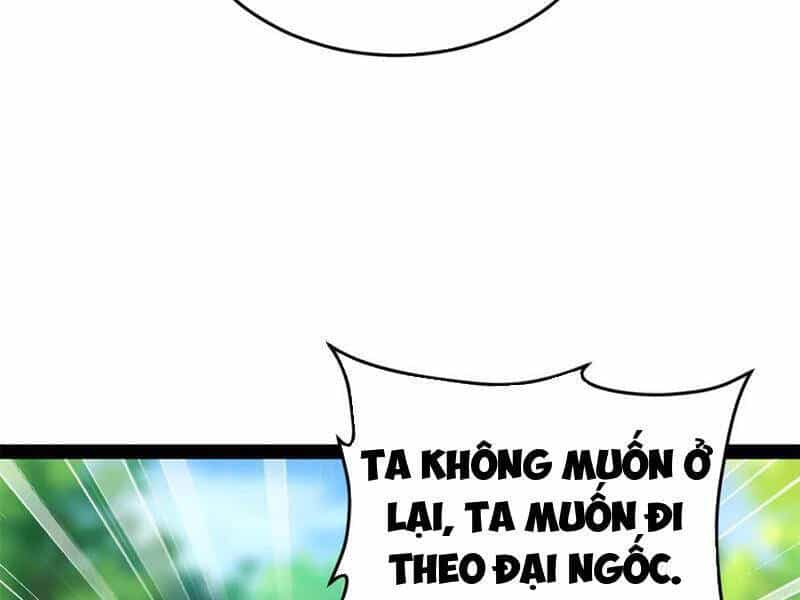 Chàng Rể Mạnh Nhất Lịch Sử - Chương 225 - ảnh 45