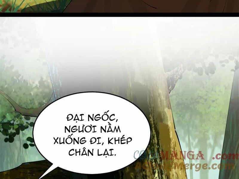 Chàng Rể Mạnh Nhất Lịch Sử - Chương 225 - ảnh 72