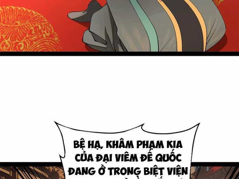Chàng Rể Mạnh Nhất Lịch Sử - Chương 229 - ảnh 70