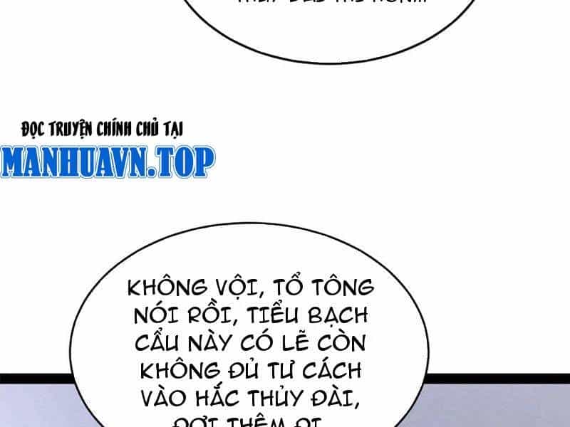 Chàng Rể Mạnh Nhất Lịch Sử - Chương 238 - ảnh 121